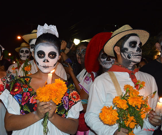 Monarchs reach Mexico for holiday
